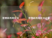 世界杯历年比分🌈世界杯历年比分记录