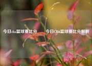 今日cba篮球赛比分✌️今日CBA篮球赛比分解析