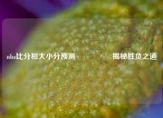 nba比分和大小分预测🎖️揭秘胜负之道