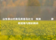 山东泰山对青岛青春岛比分⚽预测🏅激情碰撞与精彩瞬间