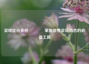 足球比分表格🌈掌握世界足坛动态的必备工具