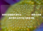 棋牌手游辅助代理平台🎖️棋牌手游辅助代理平台的兴起与前景分析