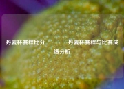 丹麦杯赛程比分🏅丹麦杯赛程与比赛成绩分析