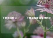 土杯赛程比分🏀土杯赛程比分实时更新
