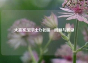 大赢家足球比分老版⚽回顾与展望