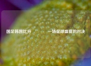 国足韩国比分🥇一场足球盛宴的对决