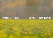 世界杯比分情况🏅实时比分与赛事动态