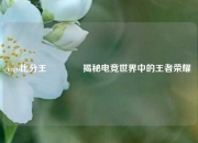 csgo比分王🥈揭秘电竞世界中的王者荣耀