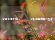 足球直播比分live👍足坛盛宴的在线见证