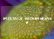 德甲足彩竞彩比分⚾把握足球赛事的机遇与挑战