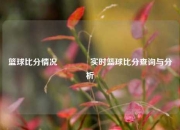 篮球比分情况👉实时篮球比分查询与分析