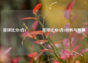 足球比分3合1🏐足球比分3合1分析与预测