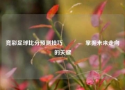 竞彩足球比分预测技巧🥇掌握未来走向的关键