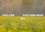 足球比分讲解👍足球比分直播与解说的魅力