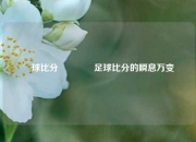 緒球比分🥈足球比分的瞬息万变