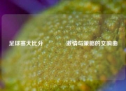 足球赛大比分🏆激情与策略的交响曲