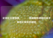 足球比分神预测👉揭秘那些神秘的高手和他们背后的秘密