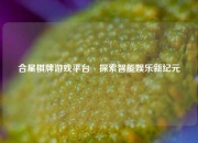 合星棋牌游戏平台⚾探索智能娱乐新纪元