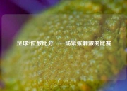 足球2位数比分⚽一场紧张刺激的比赛