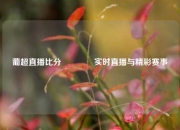 葡超直播比分🏆实时直播与精彩赛事