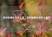 足彩彩票比分怎么看⚾足彩彩票比分怎么看？