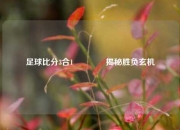 足球比分3合1🥎揭秘胜负玄机