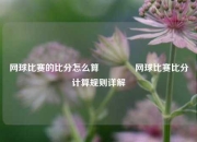 网球比赛的比分怎么算🏐网球比赛比分计算规则详解