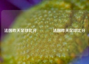 法国昨天足球比分👉法国昨天足球比分