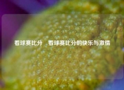 看球赛比分⚽看球赛比分的快乐与激情