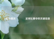 s5比分情况🏅足球比赛中的关键信息