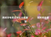 西班牙电竞足球比分直播🏆实时竞技盛宴