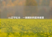 cba辽宁比分⚾一场精彩的篮球盛宴