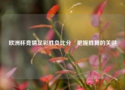 欧洲杯竞猜足彩胜负比分⚽把握胜算的关键