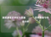 新浪澳客足球比分直播🌈实时更新与专业分析