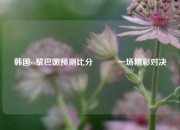 韩国vs黎巴嫩预测比分⚽✌️一场精彩对决