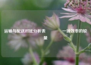 运输与配送对比分析表👈一场效率的较量