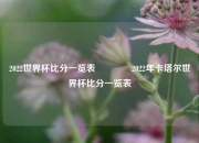 2022世界杯比分一览表🏆2022年卡塔尔世界杯比分一览表