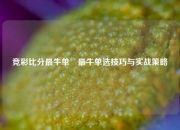 竞彩比分最牛单⚾最牛单选技巧与实战策略