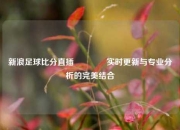 新浪足球比分直插🌈实时更新与专业分析的完美结合