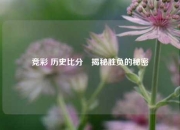 竞彩 历史比分⚾揭秘胜负的秘密