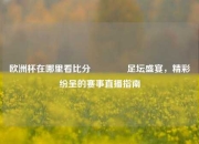 欧洲杯在哪里看比分🏐足坛盛宴，精彩纷呈的赛事直播指南