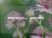预测世界杯比分app⚾你的未来已知
