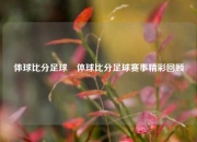 体球比分足球⚽体球比分足球赛事精彩回顾