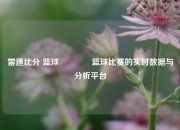 雷速比分 篮球🏐篮球比赛的实时数据与分析平台