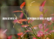 国际足球比分🥈实时国际足球比分更新