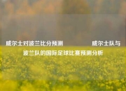 威尔士对波兰比分预测🎖️威尔士队与波兰队的国际足球比赛预测分析