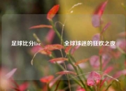 足球比分live🏀全球球迷的狂欢之夜
