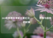 2014年世界杯季军比赛比分🏀巴西与智利的较量
