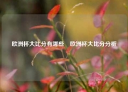 欧洲杯大比分有哪些⚽欧洲杯大比分分析