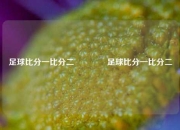 足球比分一比分二🥉足球比分一比分二